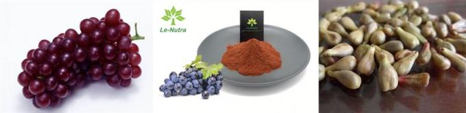 Traubenkernvitis- viniferaauszugpulver heißer Verkaufs-natürliches hoher Reinheitsgrad-bestes Qualität OPC-Anthocyanin-95% organisches