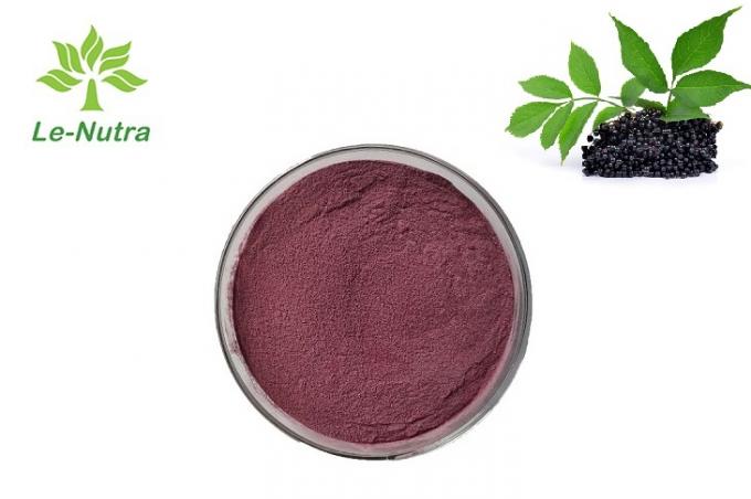 Der heiße Verkauf verbessern Immunität, die organisches natürliches Schwarzes Holunderbeerfruchtauszug-Pulver Anthocyanin 25% standardisieren