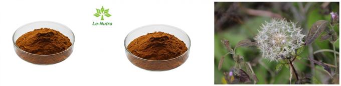 Löwenzahn-Auszug-Löwenzahn-Pulver-Wurzel-Auszug-Polysaccharid-Flavonoid 5% der Berufsfertigungs-Versorgungs-hohen Qualität natürliches