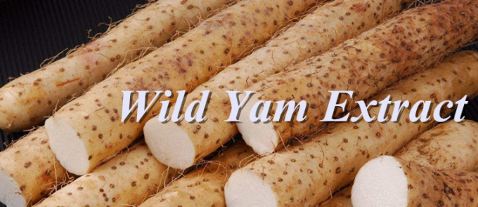 Wasserlöslicher Pulver Yam Extracts 20% Diosgenin HPLC CAS No .512-04-9
