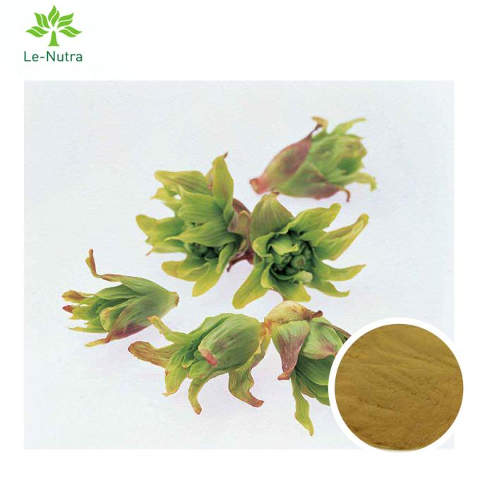 AUSZUG-Pestwurz-Blatt-Auszug-Pulver der hohen Qualität Kräuter/Petasites-Japonicusauszug Petasin 15%