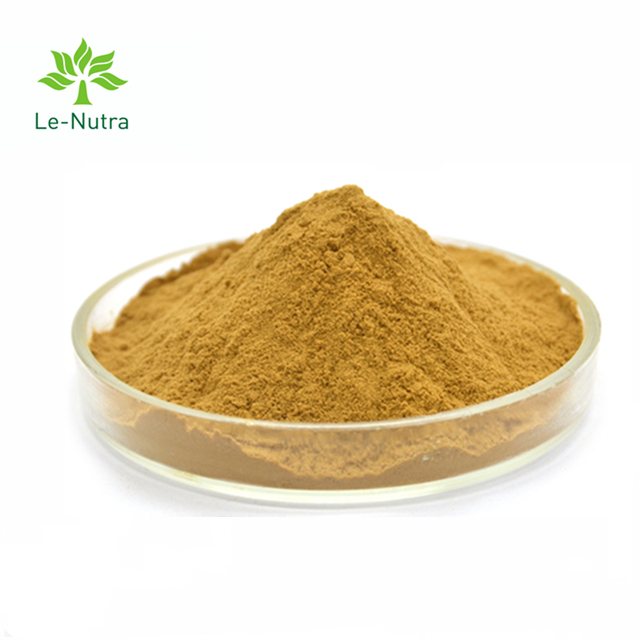 Reines Melissa Officinalis Lemon Balm Extract-Pulver mit Flavon Rosmarinic-Säure