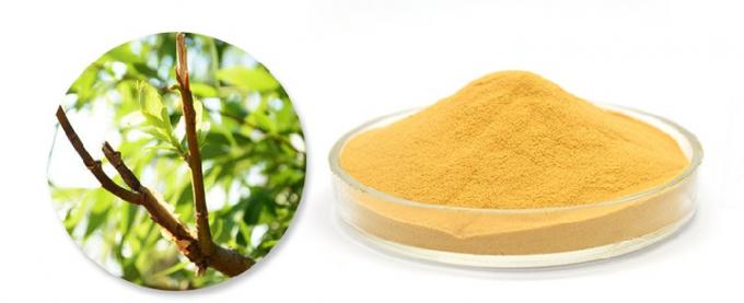 Natürlicher Silberweidebarkenauszug Salicin 10%~98%