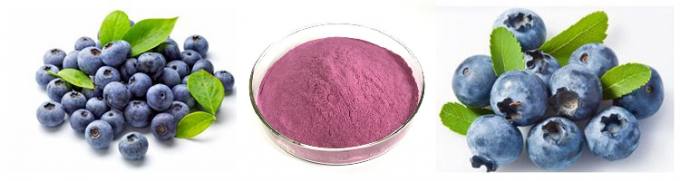 100% wasserlösliches organisches lyophilisiertes gefriertrocknetes wildes Blaubeerpulver