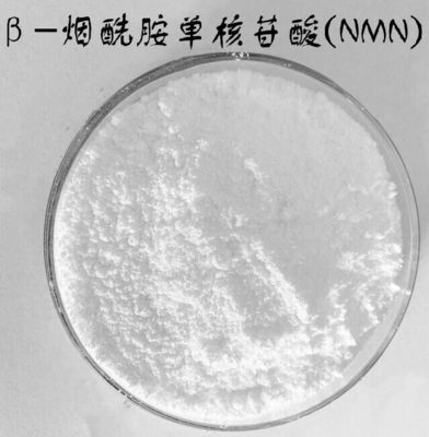 334.22 Nicotinamide Mononucleotide Powder White Crystalline NMN Dietary Supplement