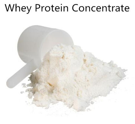 Whey Protein Gold Standard/Whey_Protein Dietary Supplement Powder