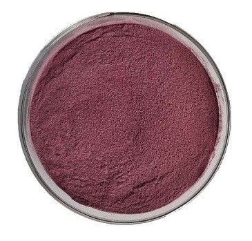 Hot Selling Improve Immunity Organic Natural Black Standardise elderberry fruit extract powder Anthocyanin 25%