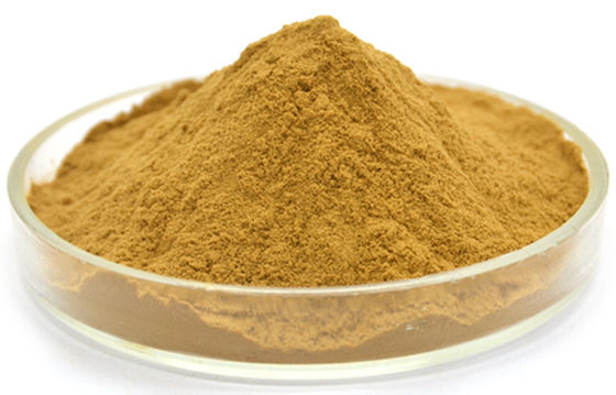 Factory Supply high quality Melissa Officinalis Leaf lemonbalm Extract powder Herbal Extract Powder