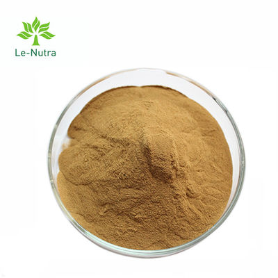 Herbal Extract Powder Pure Melissa Officinalis Lemon Balm Extract Powder with Flavones/ Rosmarinic acid