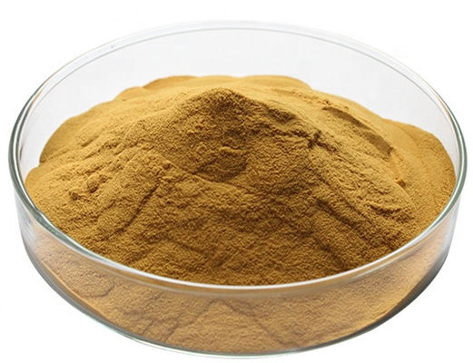 Herbal Extract Powder Pure Melissa Officinalis Lemon Balm Extract Powder with Flavones/ Rosmarinic acid
