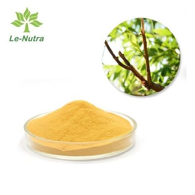 Herbal Extract Powder Natural white willow bark extract Salicin 10%~98%