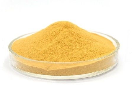 Herbal Extract Powder Natural white willow bark extract Salicin 10%~98%
