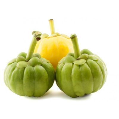 Herbal Extract Powder Chinese Weight Loss Garcinia Cambogia 60% with HALAL