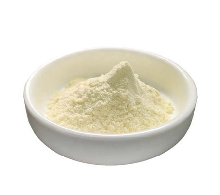 Herbal Extract Powder Chinese Weight Loss Garcinia Cambogia 60% with HALAL