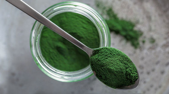 Herbal Extract Powder bulk low price organic raw green gem chlorella powder