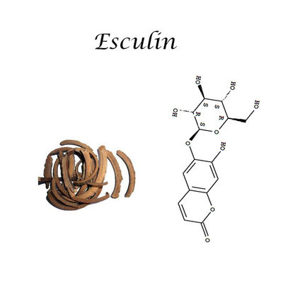 Herbal Extract Powder Factory raw material Horse Chestnut Extract Esculin 98% Cas NO.531-75-9