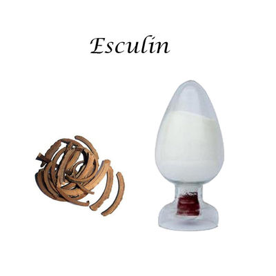Herbal Extract Powder Factory raw material Horse Chestnut Extract Esculin 98% Cas NO.531-75-9