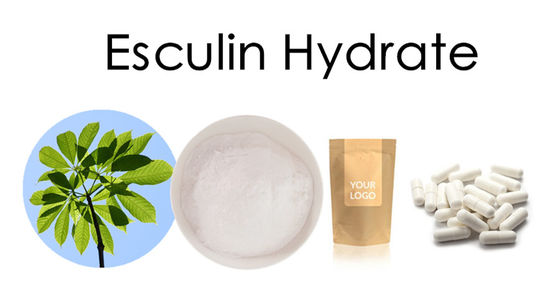 Herbal Extract Powder Factory raw material Horse Chestnut Extract Esculin 98% Cas NO.531-75-9