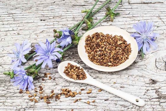 Herbal Extract Powder chicory root extract inulin powder