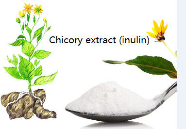 Herbal Extract Powder chicory root extract inulin powder