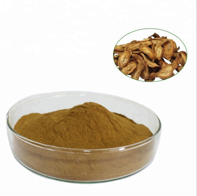 Herbal Extract Powder Hot selling burdock root extract.All natural burdock root extract.