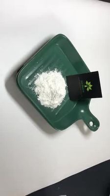 Herbal Extract Powder Factory Supply Best Quality Pure Natural vine tea extract powder 98% dhm