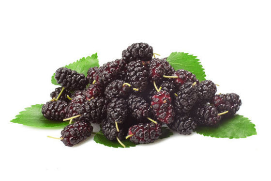 CAS No.2627-95-4 Natural Mulberry Fruit Juice Powder With Water Soluble
