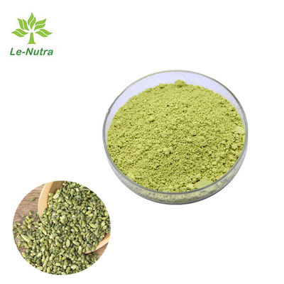 CAS 117-39-5 Herbal Extract Powder Sophora Japonica Extract Sophretin Melatonin Powder