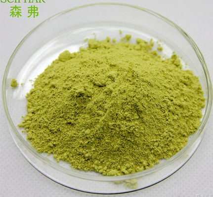 CAS 117-39-5 Herbal Extract Powder Sophora Japonica Extract Sophretin Melatonin Powder