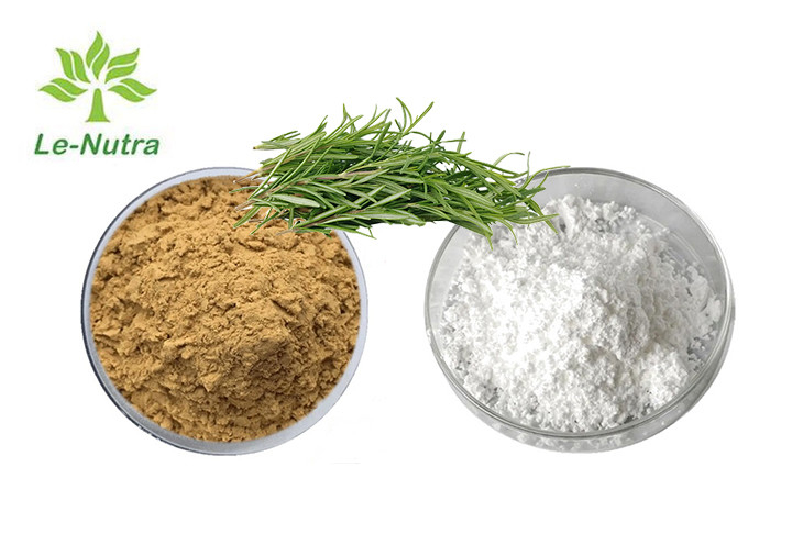 High Purity Rosemary Extract Antioxidant Rosmarinic Acid CAS 20283-92-5