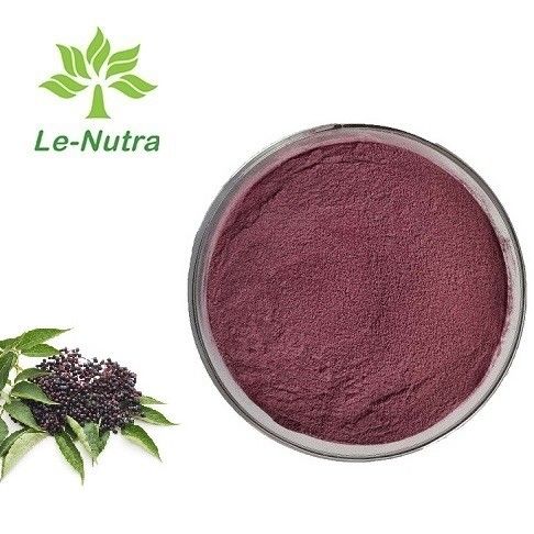 Hot Selling Improve Immunity Organic Natural Black Standardise elderberry fruit extract powder Anthocyanin 25%