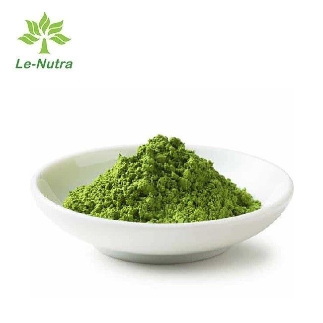 Herbal Extract Powder Factory supply Natural Pure green tea powder Matcha powder Green with best price