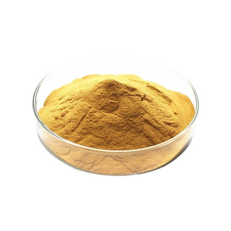 Herbal Extract Powder Natural white willow bark extract Salicin 10%~98%