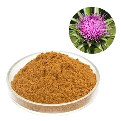 Le-Nutra 80% milk thistle seeds minced Silybum Marianum Extract Powder with competitive price